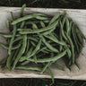 Blue Lake Pole Snap Green Bean