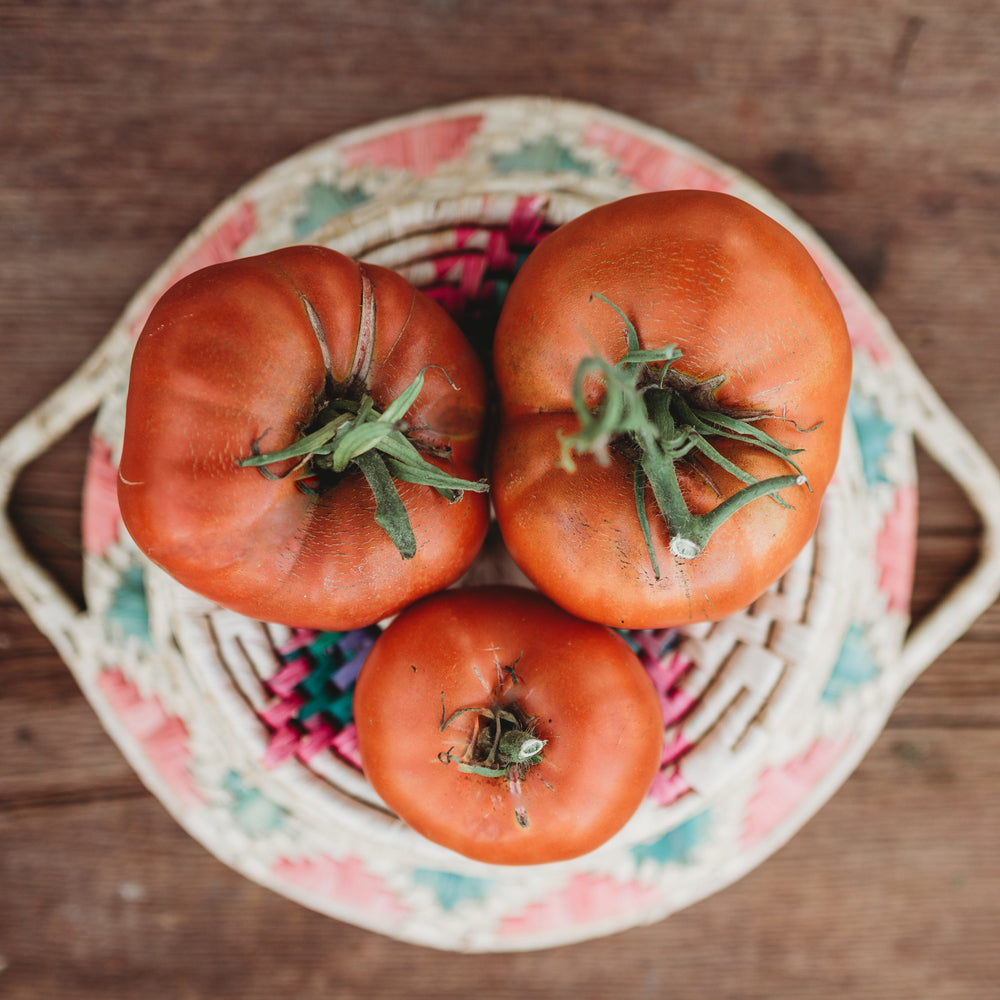 Brandywine Red Heirloom Slicing Tomato