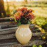 Cactus Flowered Zinnia Mix