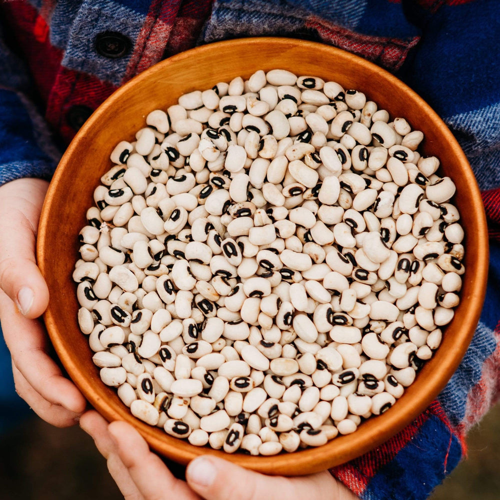 California Blackeye No. 5 Cowpea