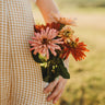 California Giants Zinnia Mix