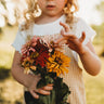 California Giants Zinnia Mix