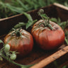 Cherokee Purple Heirloom Slicing Tomato