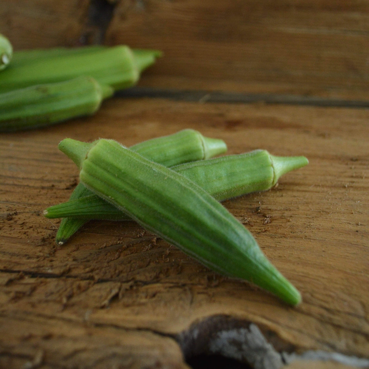 Clemson Spineless Okra