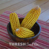 Cooks Early Yellow Dent Corn