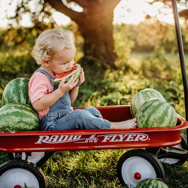 Crimson Sweet Watermelon