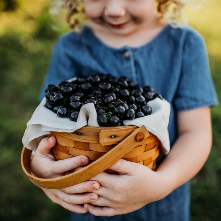 Garden Huckleberry