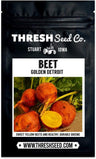 Golden Detroit Beet