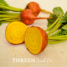 Golden Detroit Beet