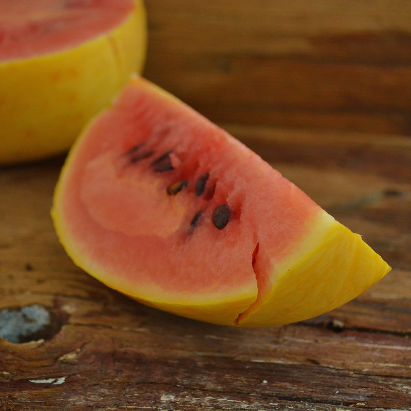 Golden Midget Watermelon