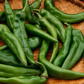 Hatch Green Chile Pepper