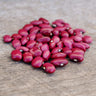 Hidatsa Red Shelling Bean