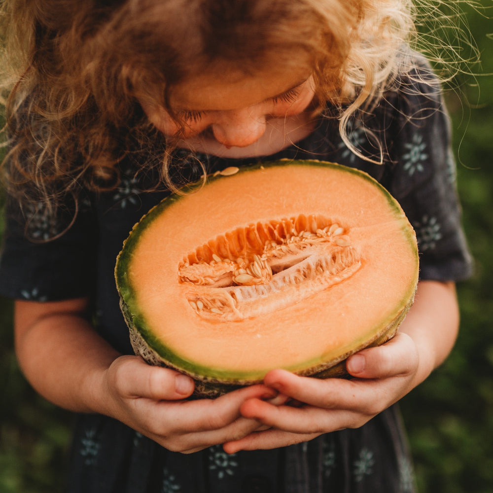 Iroquois Muskmelon