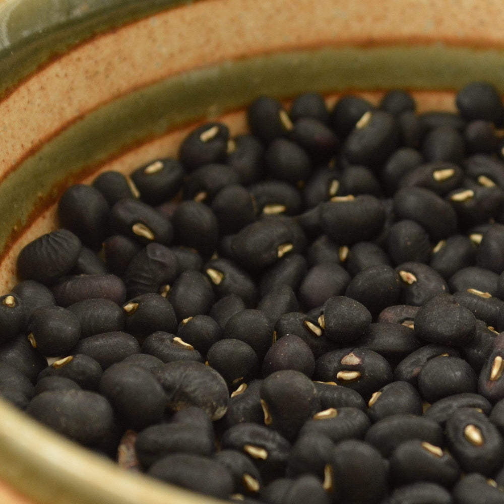 Italian Black Cowpea