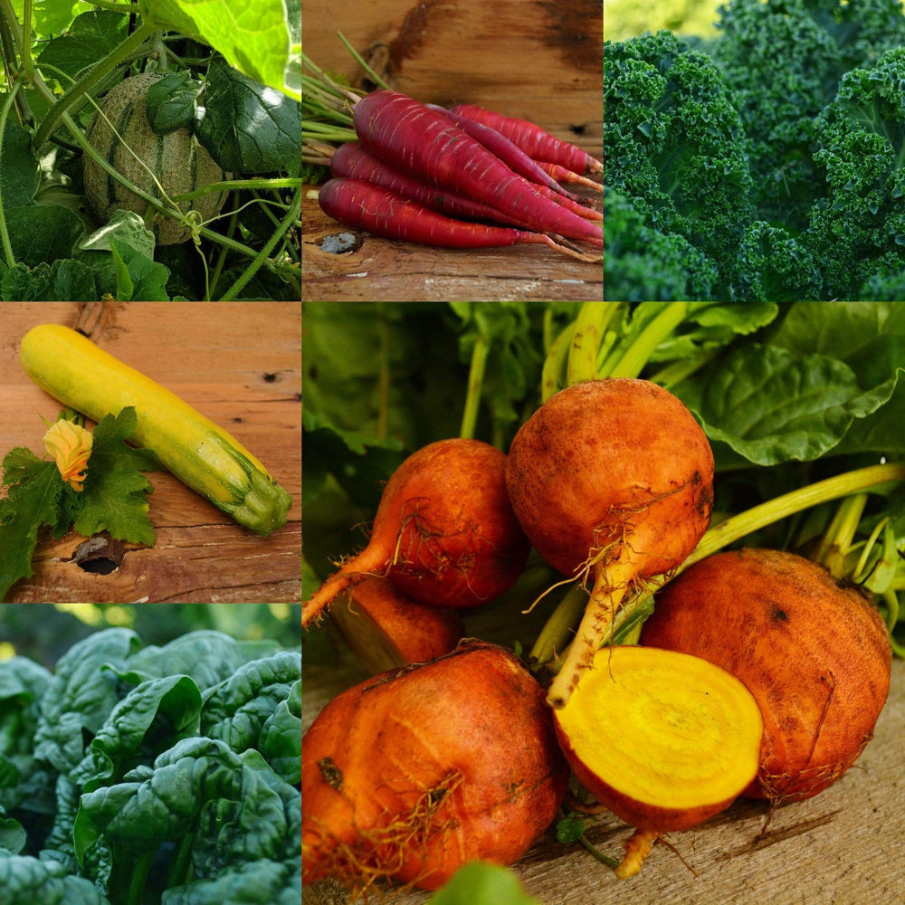 Juicing Garden Collection