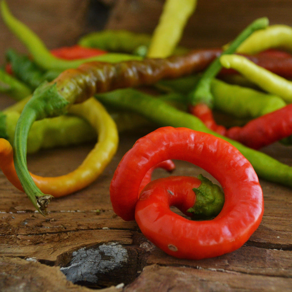 Keçi Boynuzu (Goat Horn) Chile Pepper