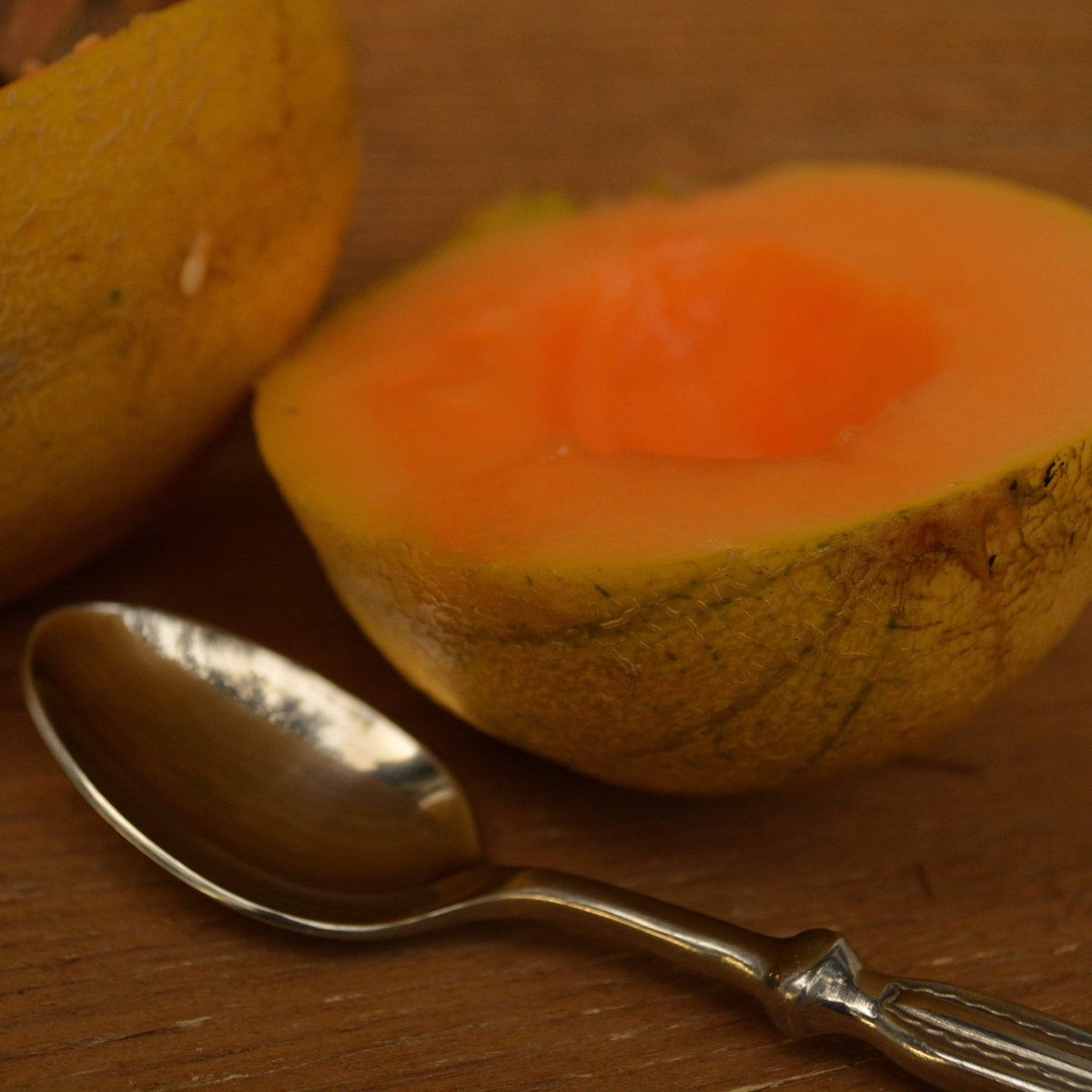 Minnesota Midget Muskmelon