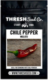 Mulato Chile Pepper