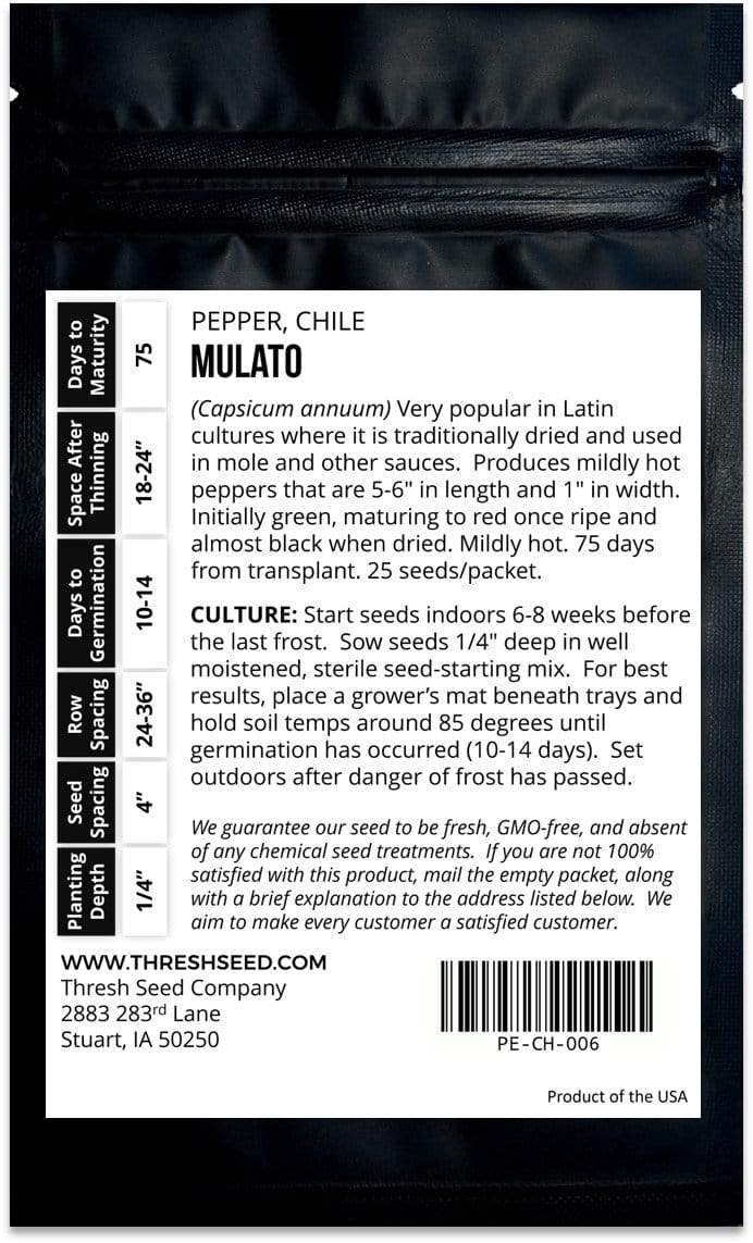 Mulato Chile Pepper