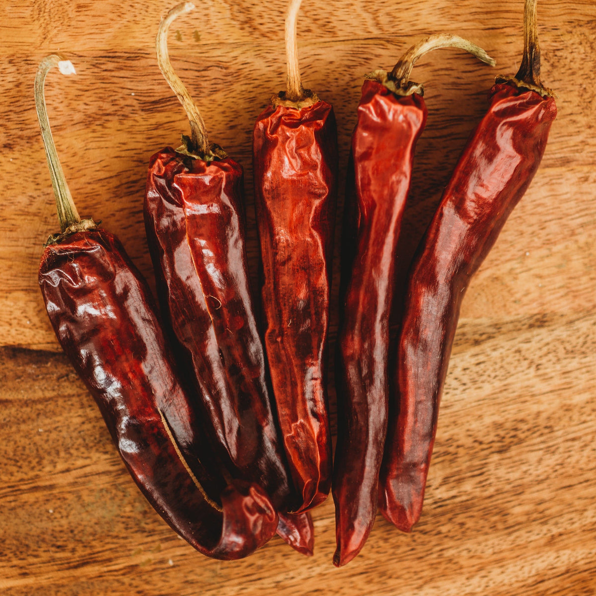 Mulato Chile Pepper