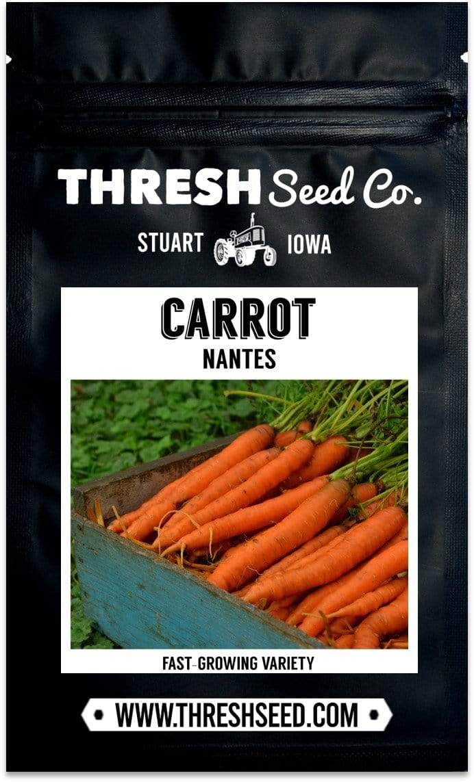 Nantes Carrot