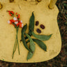 Painted Lady Improved Runner Bean