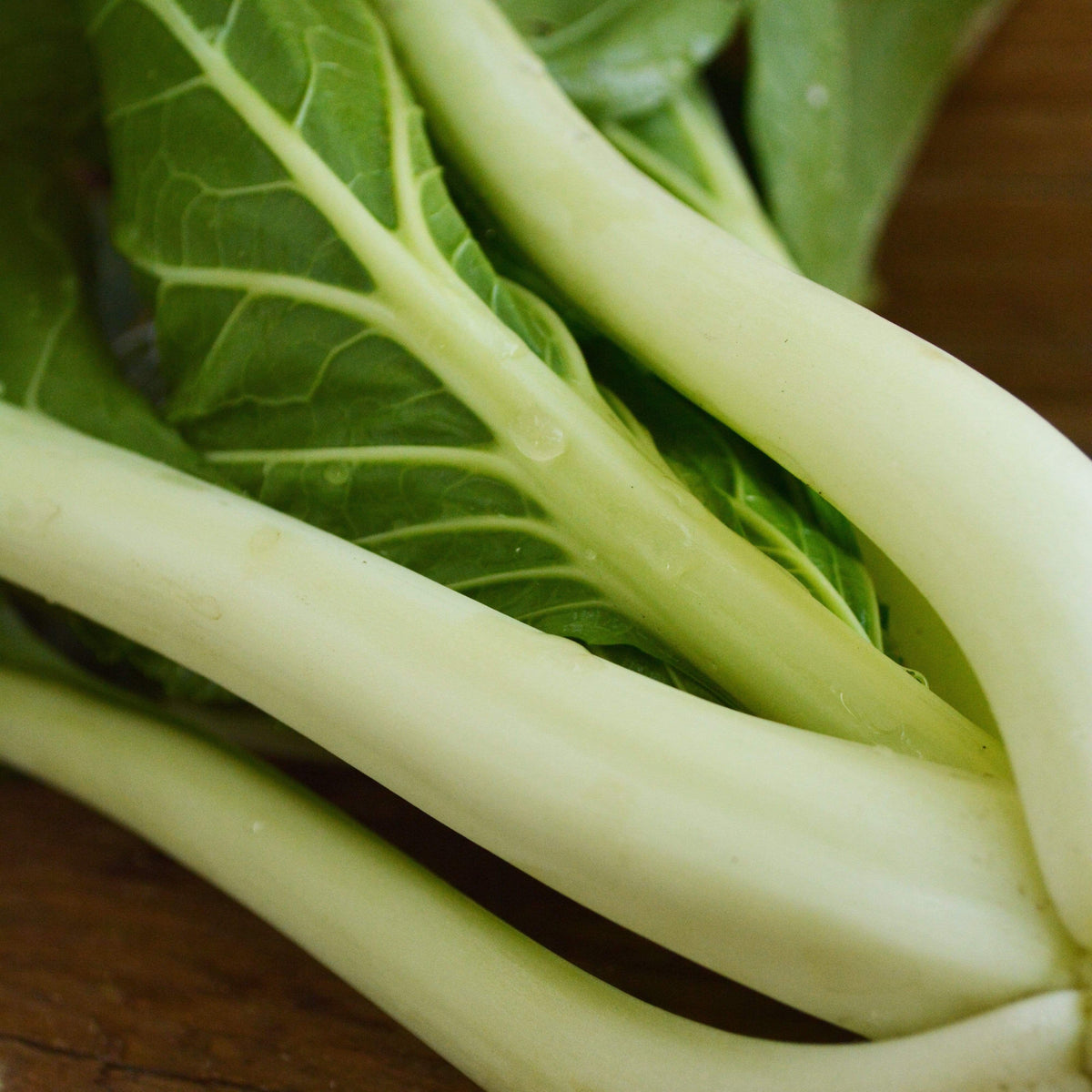 Pak Choi White Stem (Bok Choy)