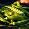 Perkins Long Pod Okra