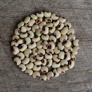 Pink-Eyed Purple Hull Cowpea