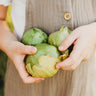 Plaza Latina Giant Green Tomatillo