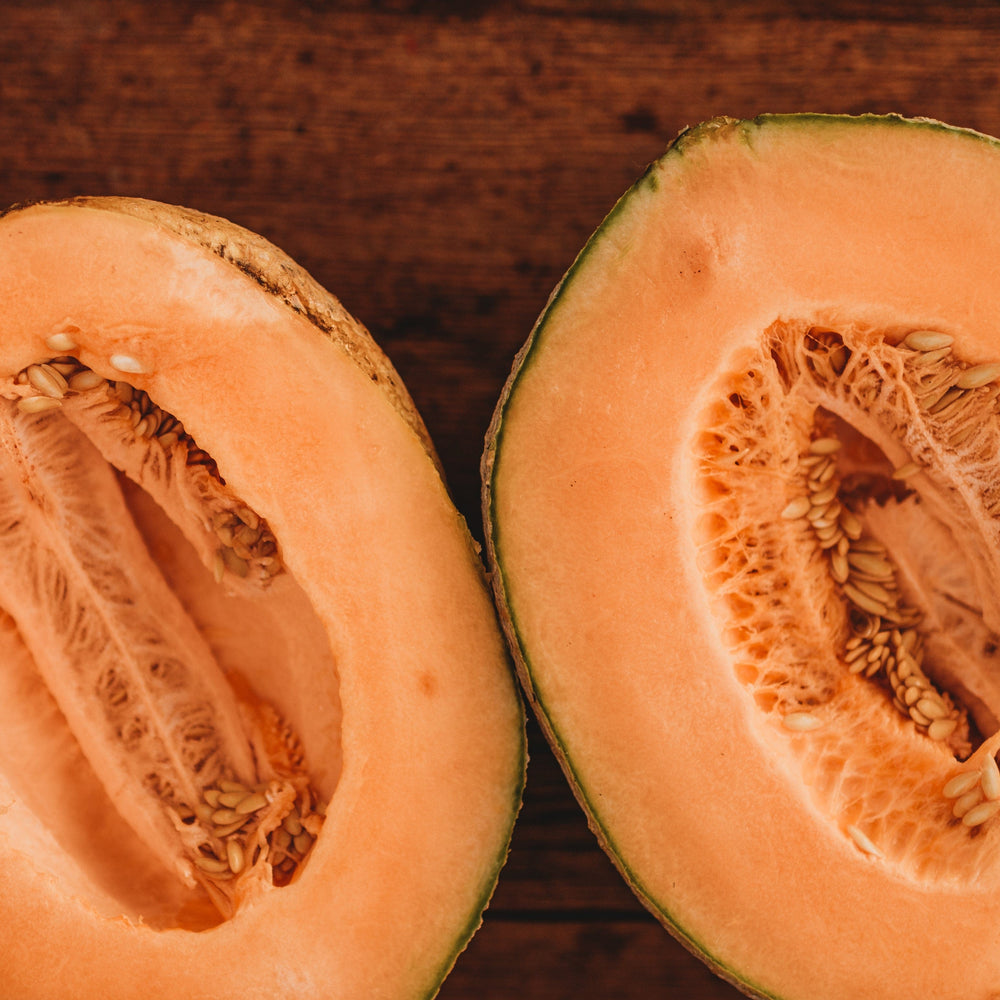 Pride of Wisconsin Muskmelon