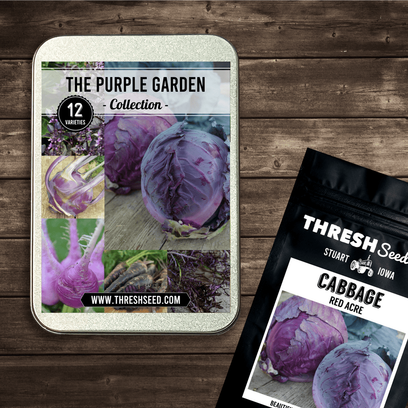 Purple Garden Collection