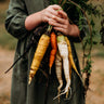 Rainbow Carrot Mix