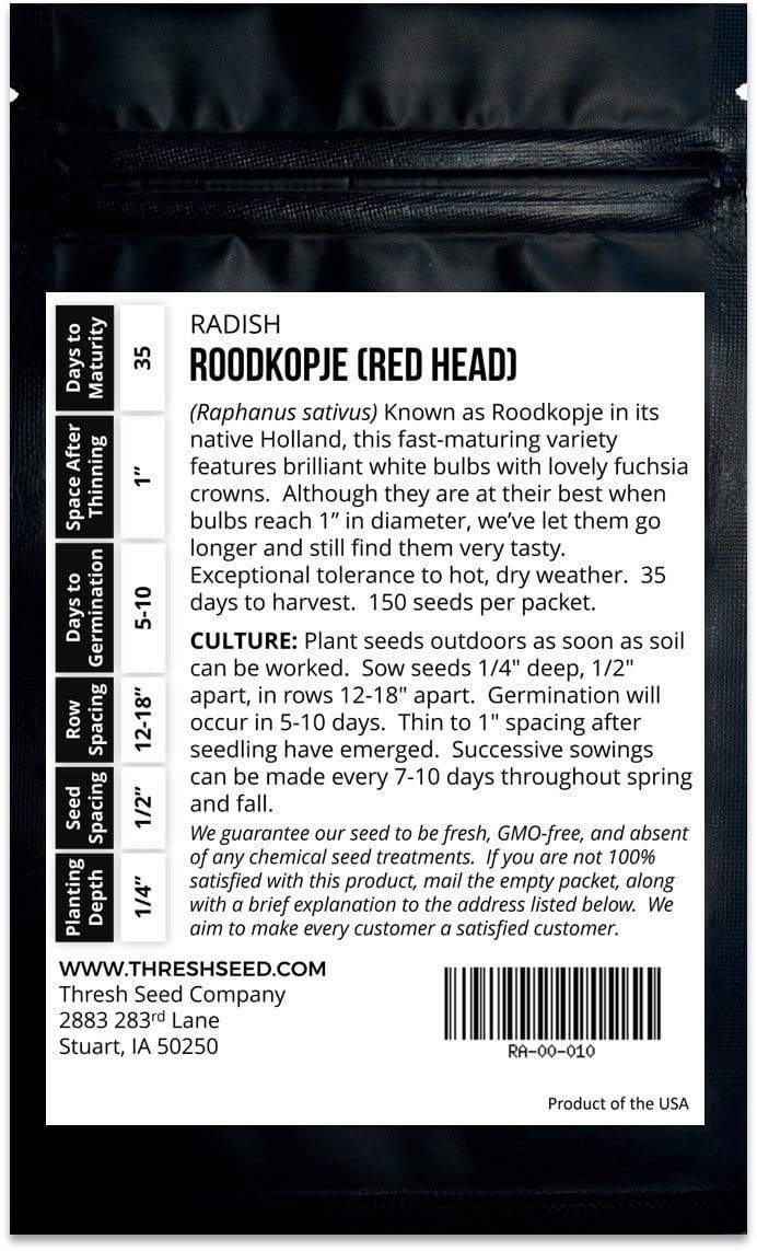 Roodkopje aka &quot;Read Head&quot; Radish