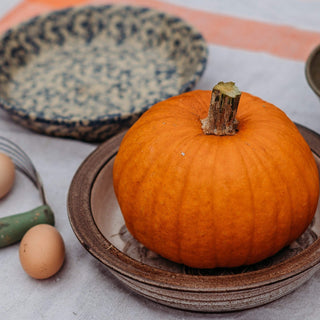 Small Sugar Heirloom Pie Pumpkin