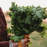 Southern Giant Curled Mustard