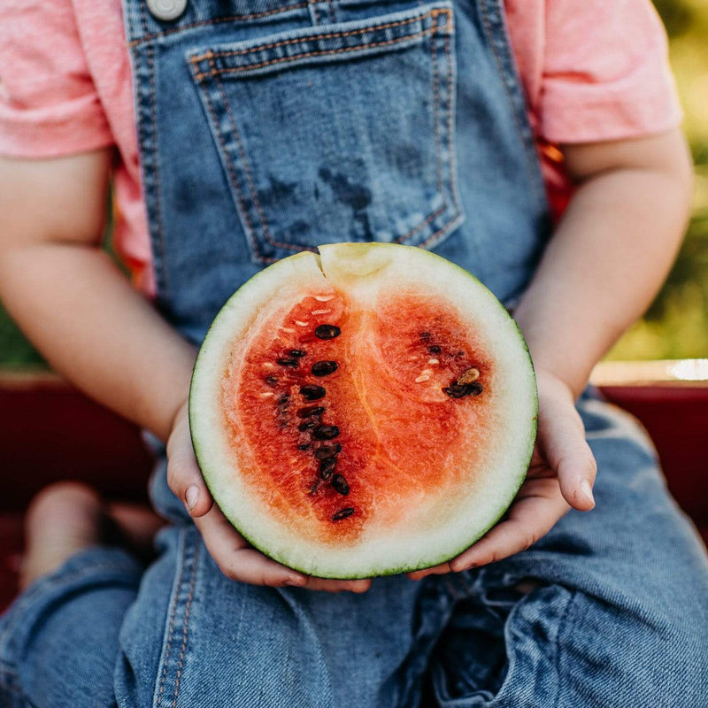 Sugar Baby Watermelon