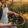 Heirloom Cutting Lettuce Mix