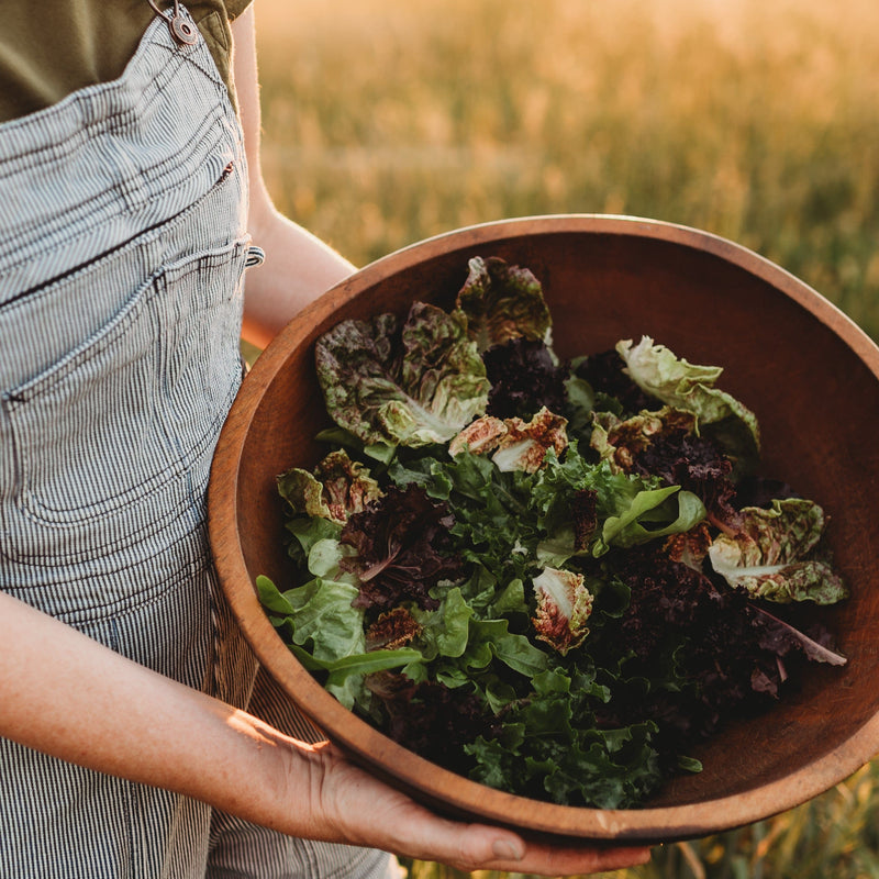 Heirloom Cutting Lettuce Mix