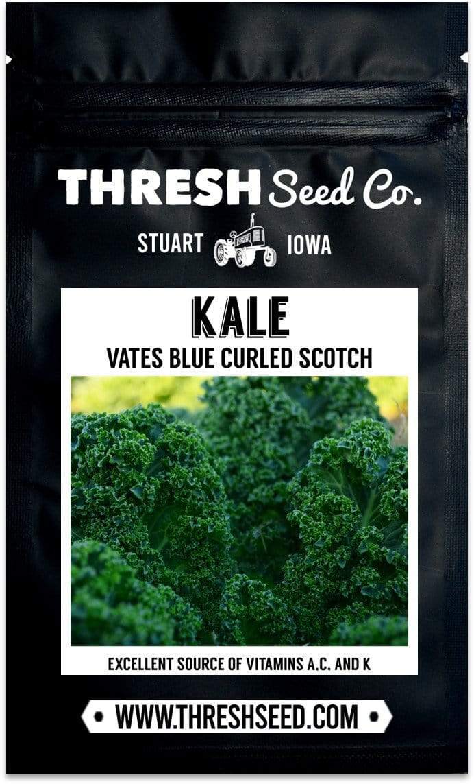 Vates Blue Curled Scotch Kale