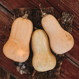 Waltham Butternut Squash