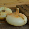 Borettana Yellow Cipollini Onion