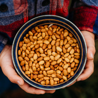 Yellow Indian Woman Shelling Bean